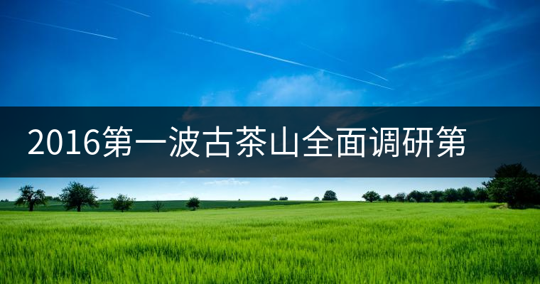 2016第一波古茶山全面調研第二站——勐海之布朗山 2016第一波古茶山全面調研第二站——勐海之布朗山