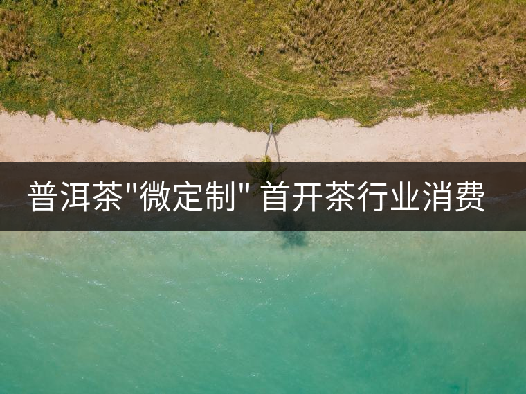 普洱茶