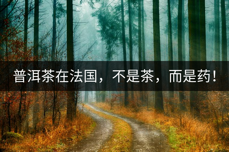 普洱茶在法國，不是茶，而是藥！