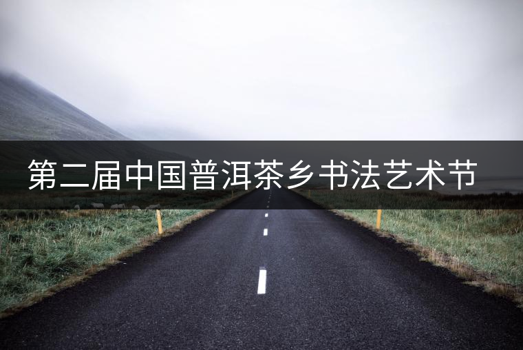 第二屆中國普洱茶鄉(xiāng)書法藝術(shù)節(jié)落下帷幕