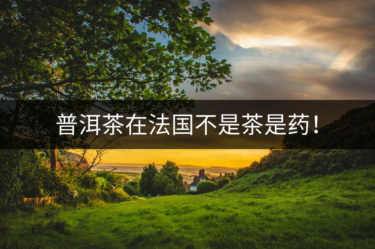普洱茶在法國(guó)不是茶是藥！