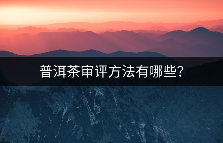 普洱茶審評方法有哪些？