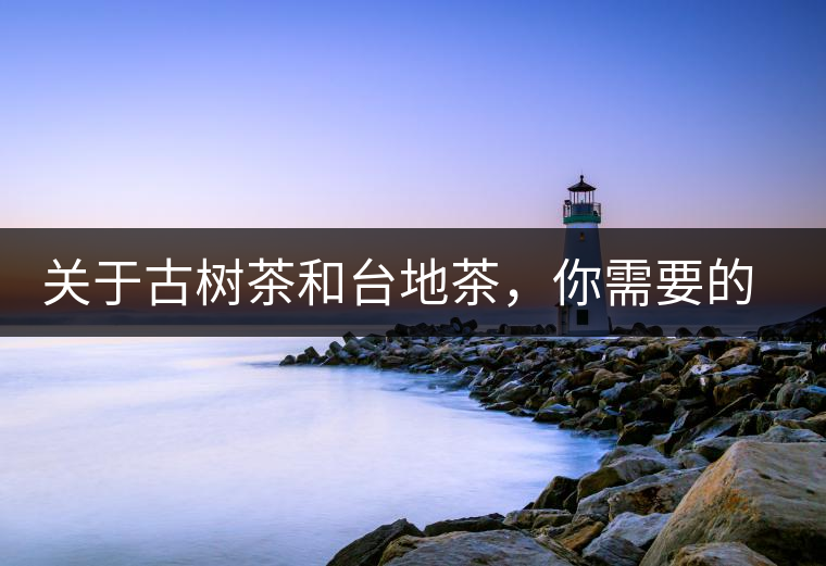 關于古樹茶和臺地茶，你需要的知識全在這里了