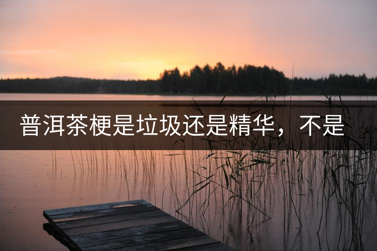 普洱茶梗是垃圾還是精華，不是一個人說的算