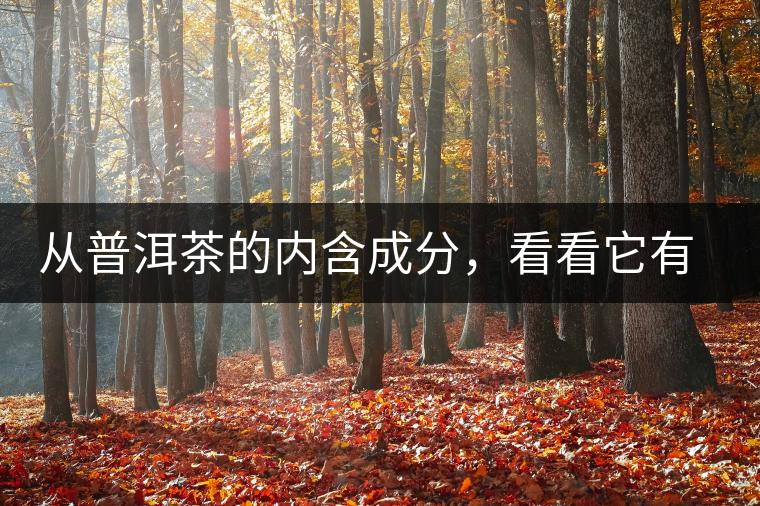 從普洱茶的內(nèi)含成分，看看它有什么功效？
