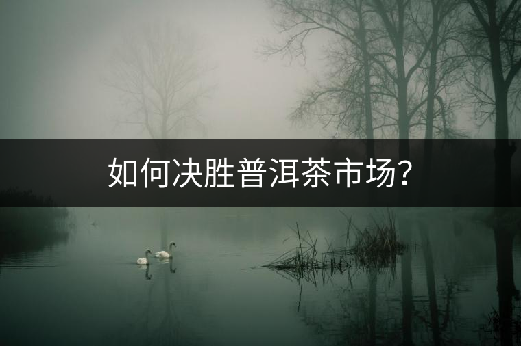 如何決勝普洱茶市場？