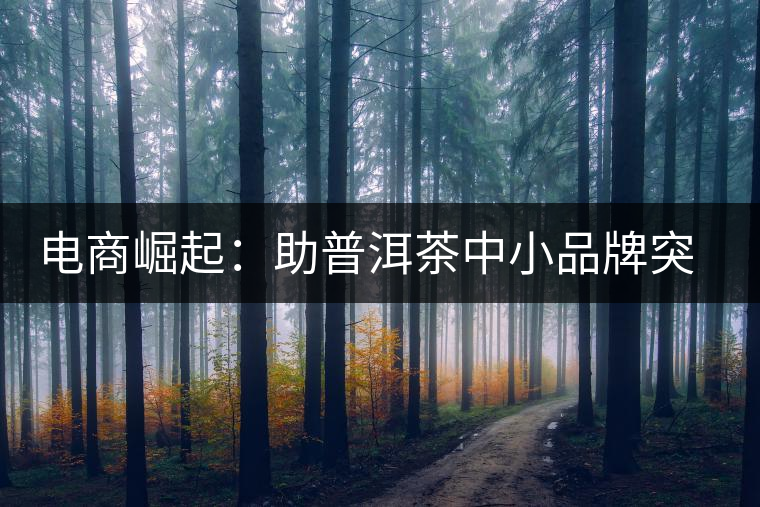 電商崛起：助普洱茶中小品牌突破瓶頸期