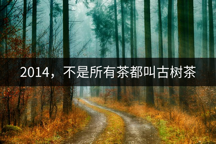 2014，不是所有茶都叫古樹茶