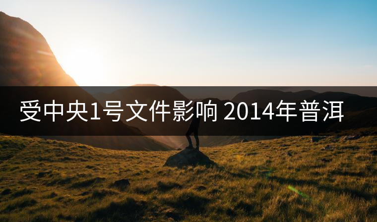 受中央1號文件影響 2014年普洱茶何去何從？