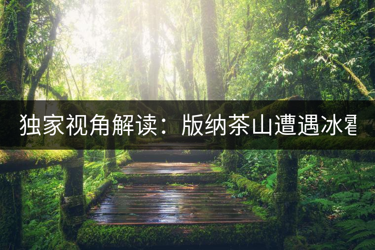獨(dú)家視角解讀：版納茶山遭遇冰雹襲擊長達(dá)17分鐘