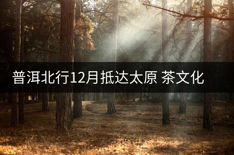 普洱北行12月抵達太原 茶文化交流再掀高潮