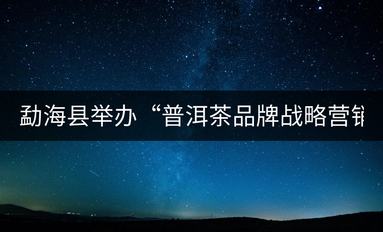 勐?？h舉辦“普洱茶品牌戰(zhàn)略營(yíng)銷專題講座”