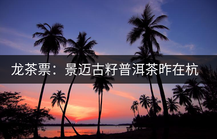 龍茶票：景邁古籽普洱茶昨在杭面市