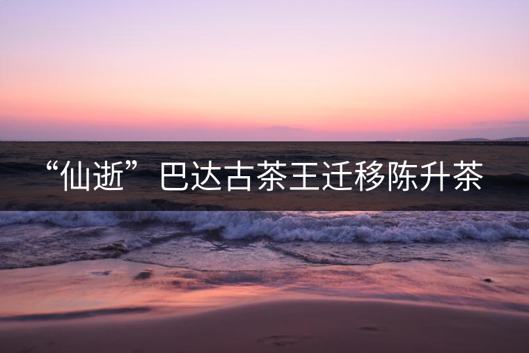 “仙逝”巴達(dá)古茶王遷移陳升茶業(yè)公司