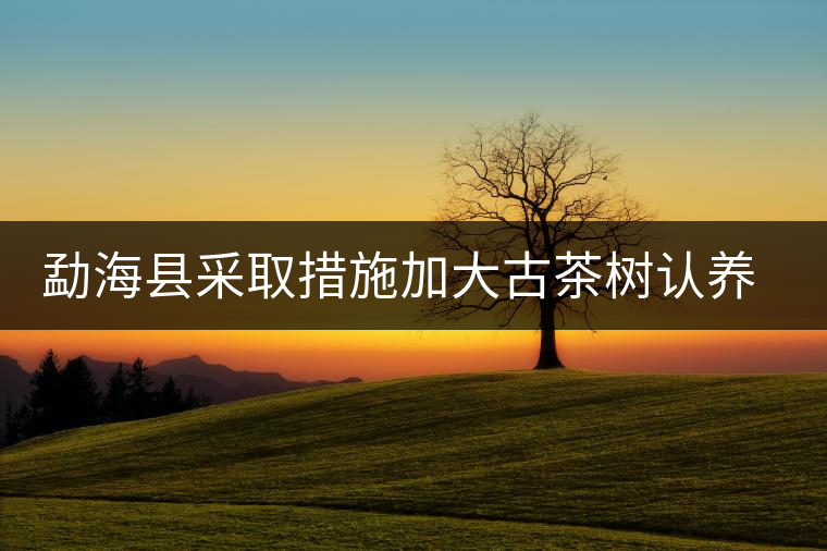 勐海縣采取措施加大古茶樹(shù)認(rèn)養(yǎng)保護(hù)