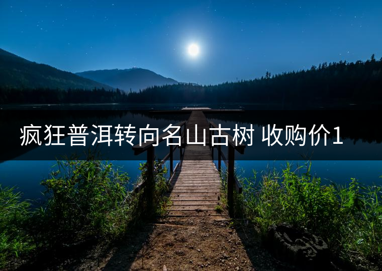 瘋狂普洱轉(zhuǎn)向名山古樹 收購(gòu)價(jià)1年漲兩三倍