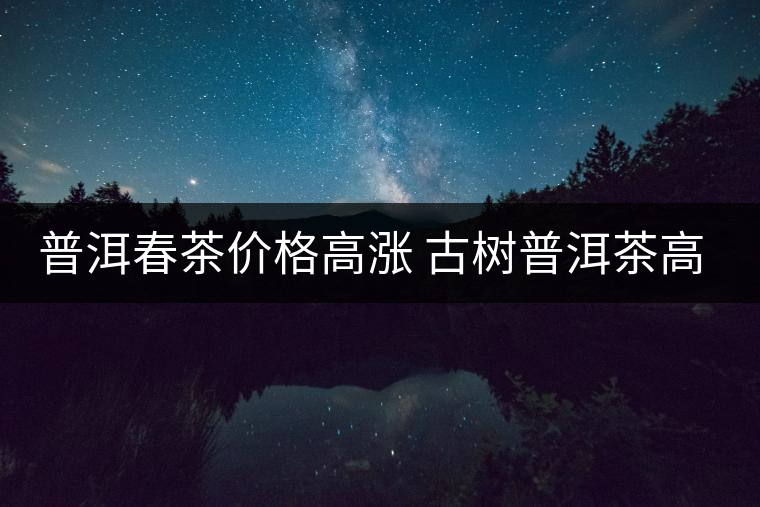 普洱春茶價(jià)格高漲 古樹(shù)普洱茶高開(kāi)后路在何方？