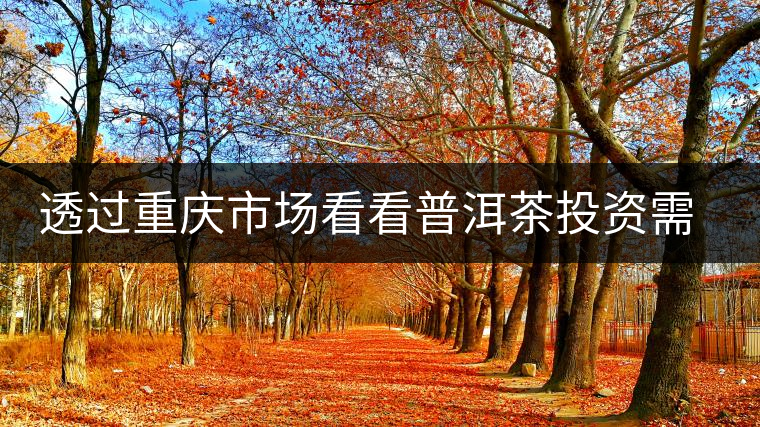 透過(guò)重慶市場(chǎng)看看普洱茶投資需要注意些什么？
