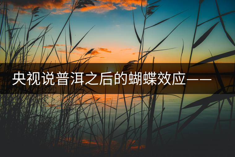 央視說普洱之后的蝴蝶效應(yīng)——過度開采會(huì)出現(xiàn)“死循環(huán)”？