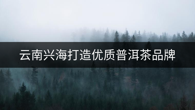 云南興海打造優(yōu)質(zhì)普洱茶品牌