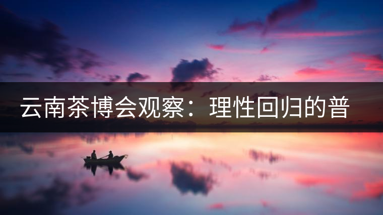 云南茶博會觀察：理性回歸的普洱茶