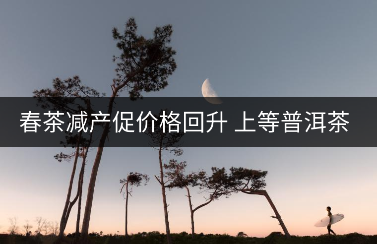 春茶減產促價格回升 上等普洱茶才越陳越好 春茶減產促價格回升 上等普洱茶才越陳越好
