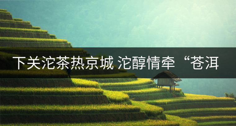 下關沱茶熱京城 沱醇情牽“蒼洱”緣