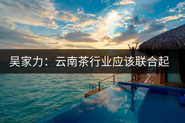 吳家力：云南茶行業(yè)應該聯(lián)合起來