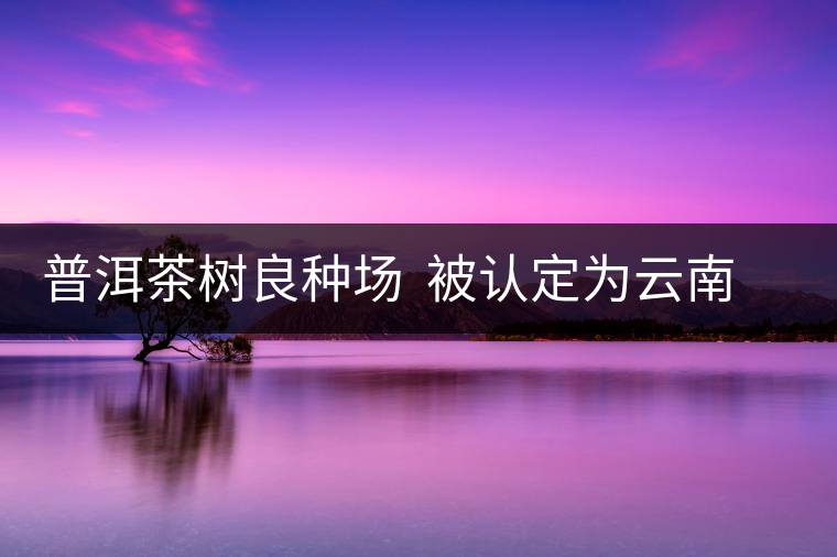 普洱茶樹良種場  被認(rèn)定為云南省優(yōu)質(zhì)種業(yè)基地