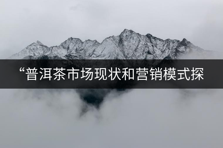 “普洱茶市場現(xiàn)狀和營銷模式探討”主題演講在成都寬和茶館舉行