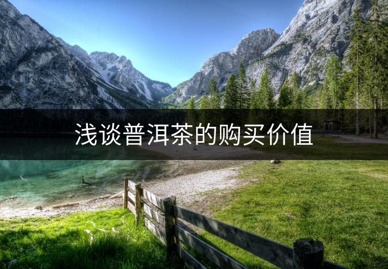 淺談普洱茶的購買價值 淺談普洱茶的購買價值
