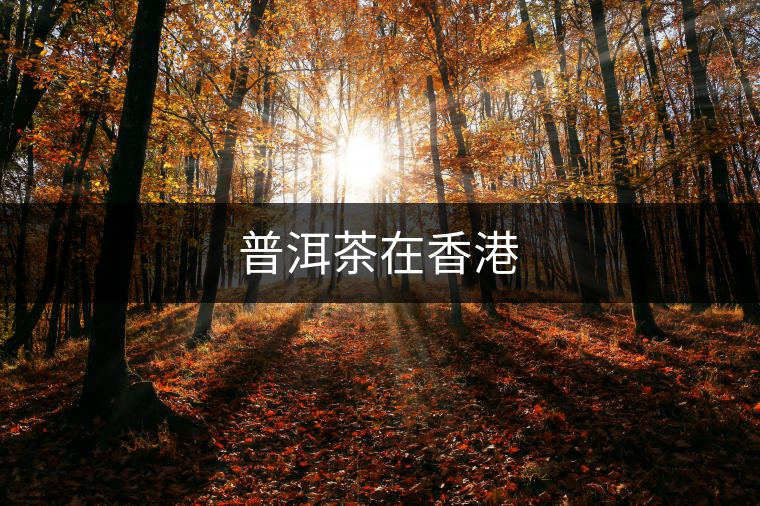 普洱茶在香港