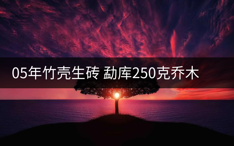 05年竹殼生磚 勐庫250克喬木生磚兩片裝