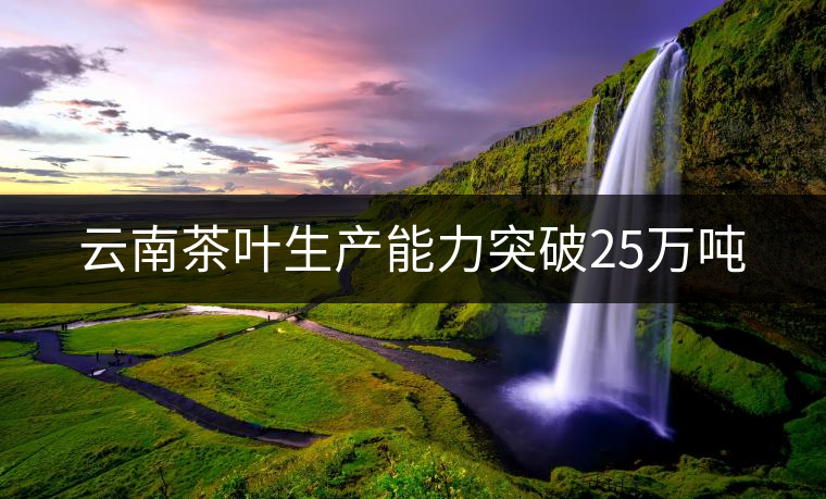 云南茶葉生產(chǎn)能力突破25萬(wàn)噸