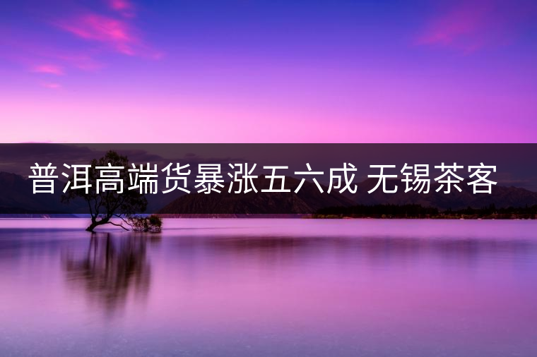 普洱高端貨暴漲五六成 無錫茶客提前囤貨
