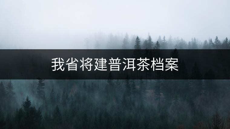 我省將建普洱茶檔案 我省將建普洱茶檔案
