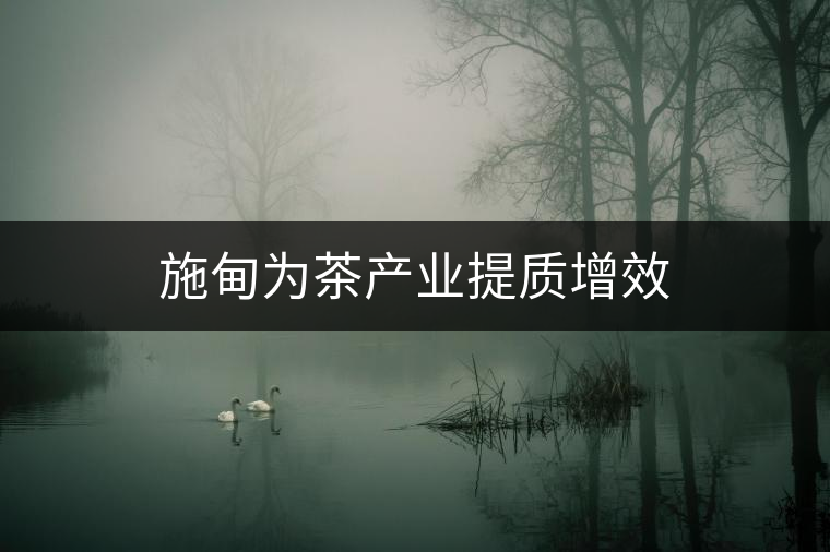 施甸為茶產(chǎn)業(yè)提質(zhì)增效