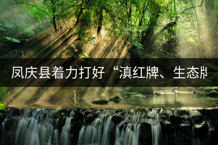 鳳慶縣著力打好“滇紅牌、生態(tài)牌”