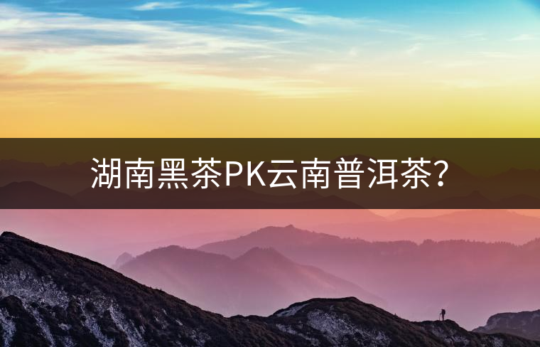 湖南黑茶PK云南普洱茶？