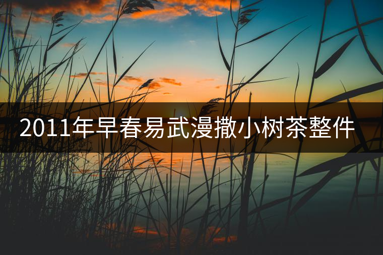 2011年早春易武漫撒小樹茶整件起批