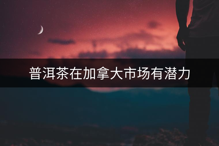 普洱茶在加拿大市場(chǎng)有潛力