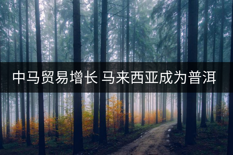 中馬貿(mào)易增長 馬來西亞成為普洱茶主要出口國