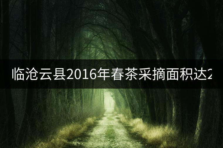 臨滄云縣2016年春茶采摘面積達(dá)202605畝，同比增長(zhǎng)3.28%