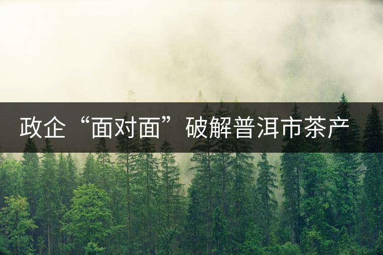 政企“面對面”破解普洱市茶產業(yè)發(fā)展“瓶頸”