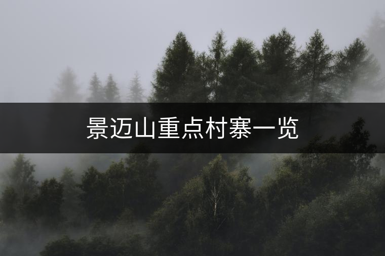 景邁山重點(diǎn)村寨一覽 景邁山重點(diǎn)村寨一覽