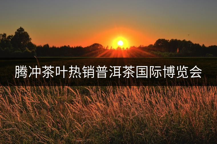 騰沖茶葉熱銷普洱茶國際博覽會