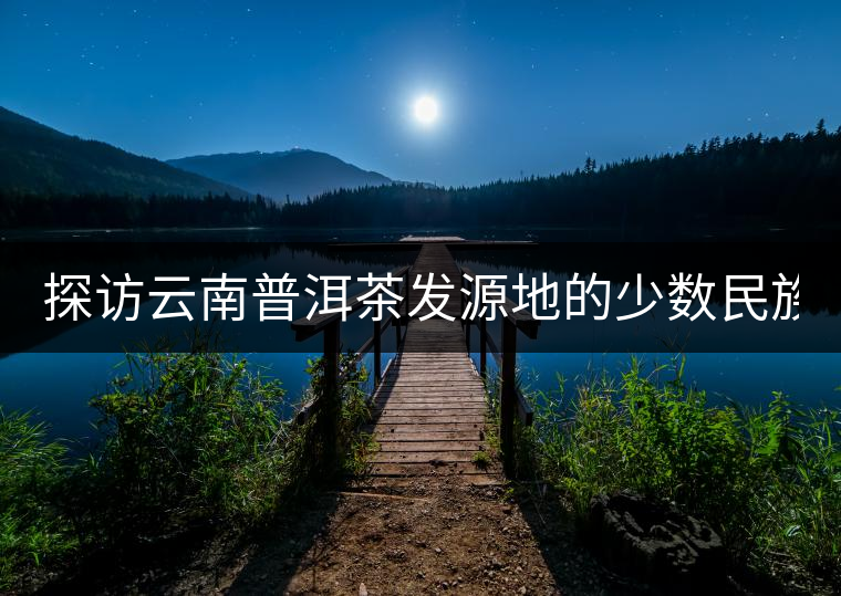 探訪云南普洱茶發(fā)源地的少數(shù)民族“茶人”