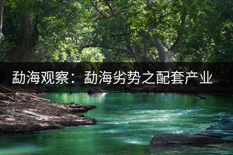 勐海觀察:勐海劣勢(shì)之配套產(chǎn)業(yè)篇 勐海觀察:勐海劣勢(shì)之配套產(chǎn)業(yè)篇