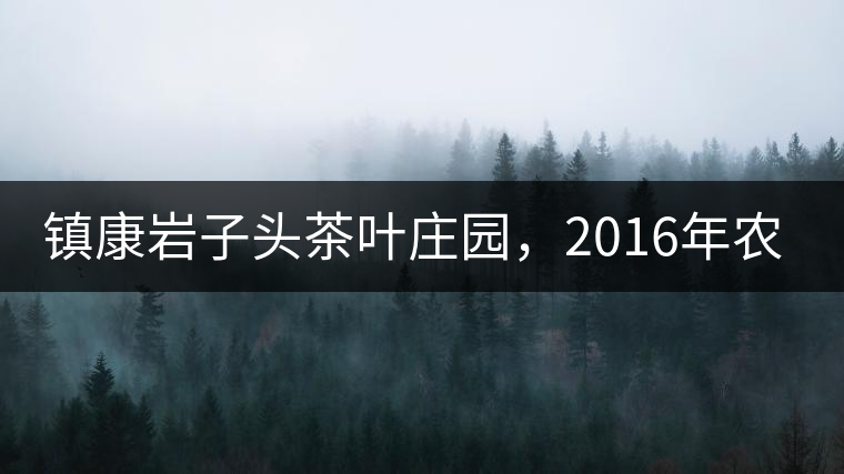 鎮(zhèn)康巖子頭茶葉莊園，2016年農(nóng)業(yè)產(chǎn)值達(dá)6000余萬元