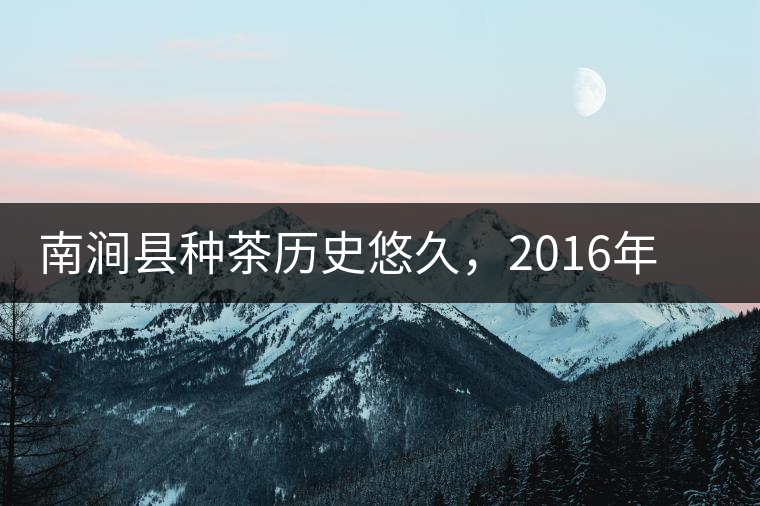 南澗縣種茶歷史悠久，2016年被評(píng)為全國(guó)十大生態(tài)產(chǎn)茶縣